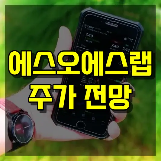 에스오에스랩 주가 전망