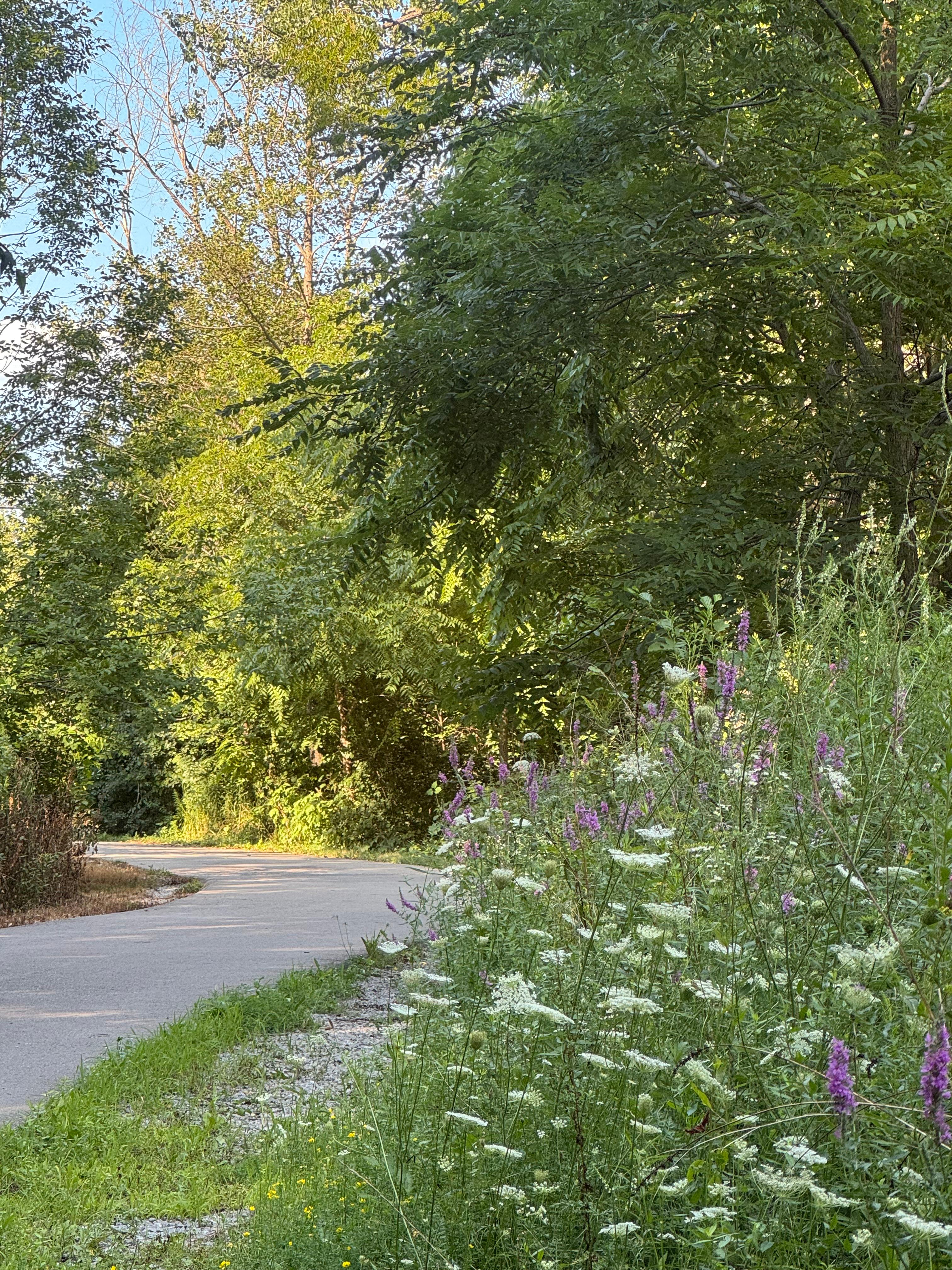 스트레스 완화 명상