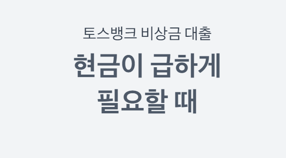 저신용자 대출