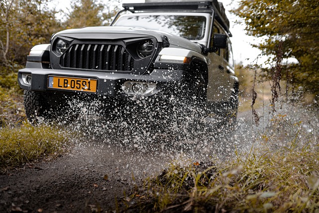 Jeep 자동차의 랭글러