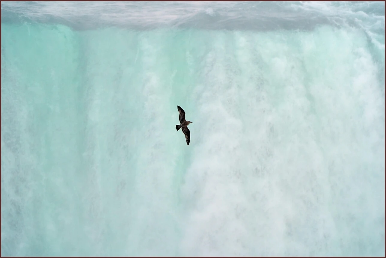 저축은행 정기예금 금리비교