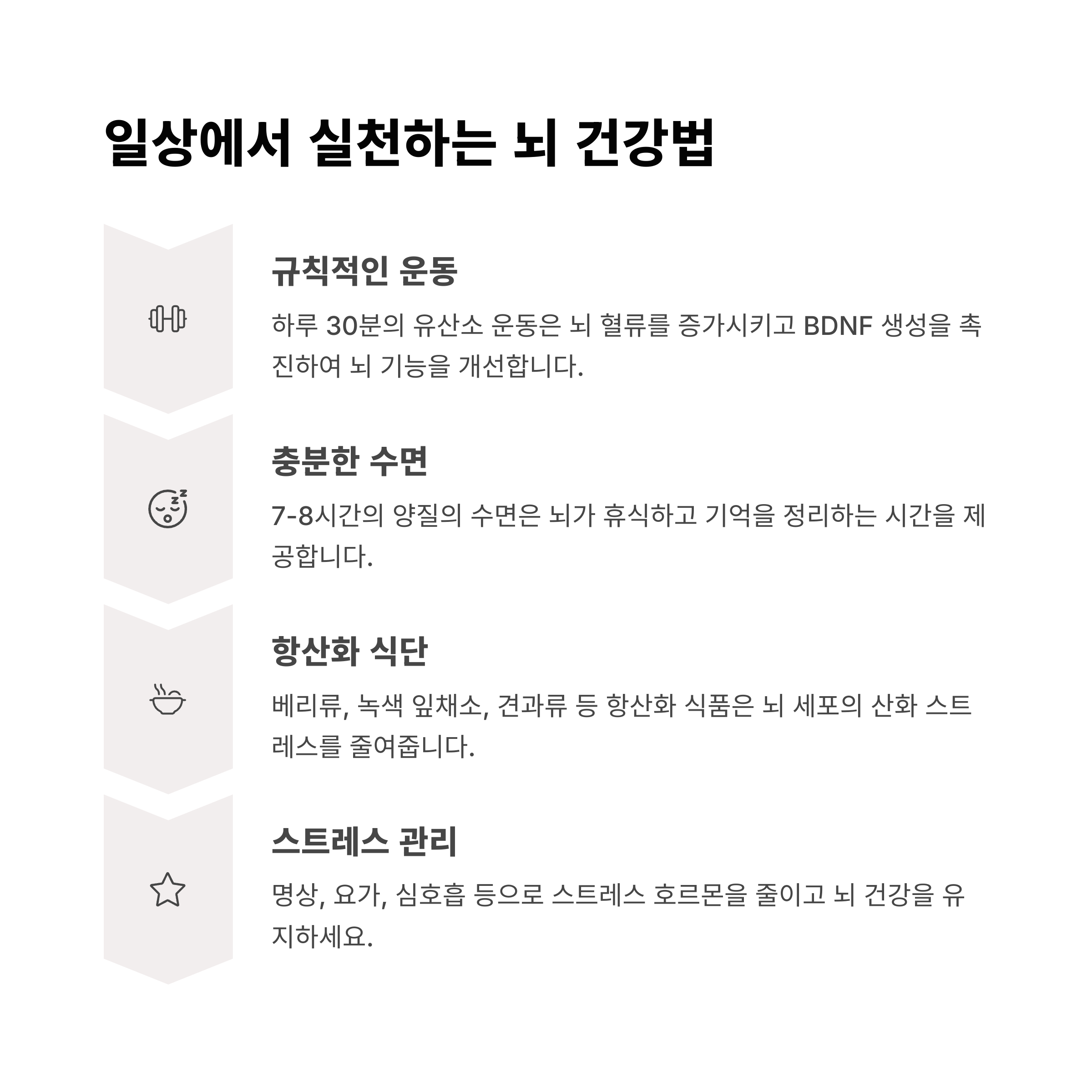 일상에서 실천할 수 있는 뇌 건강 습관(운동, 수면, 항산화 식단, 스트레스 관리)에 대한 정보가 아이콘과 함께 정리된 인포그래픽.