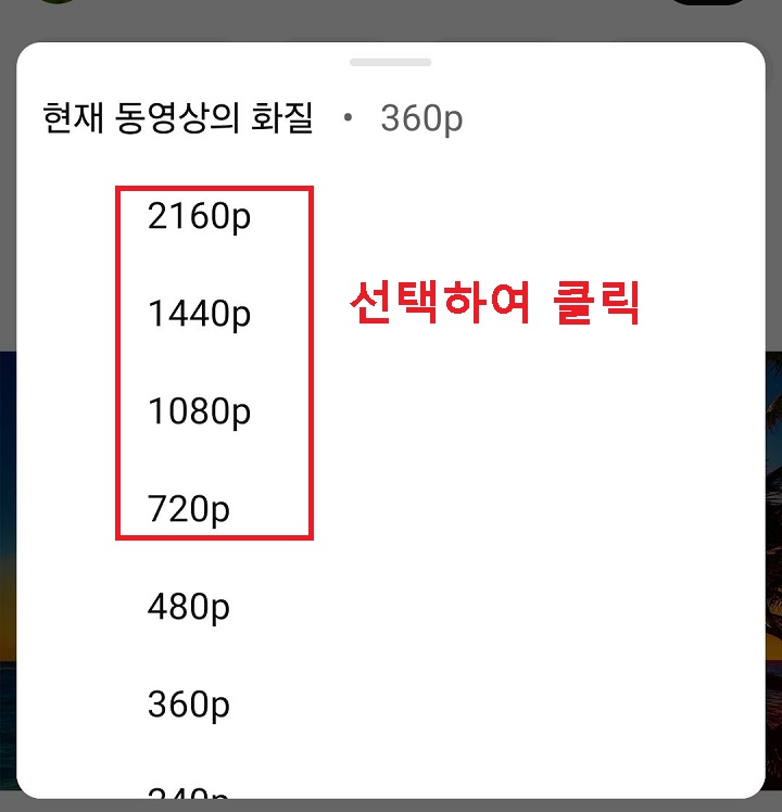 화질 선택창 보임