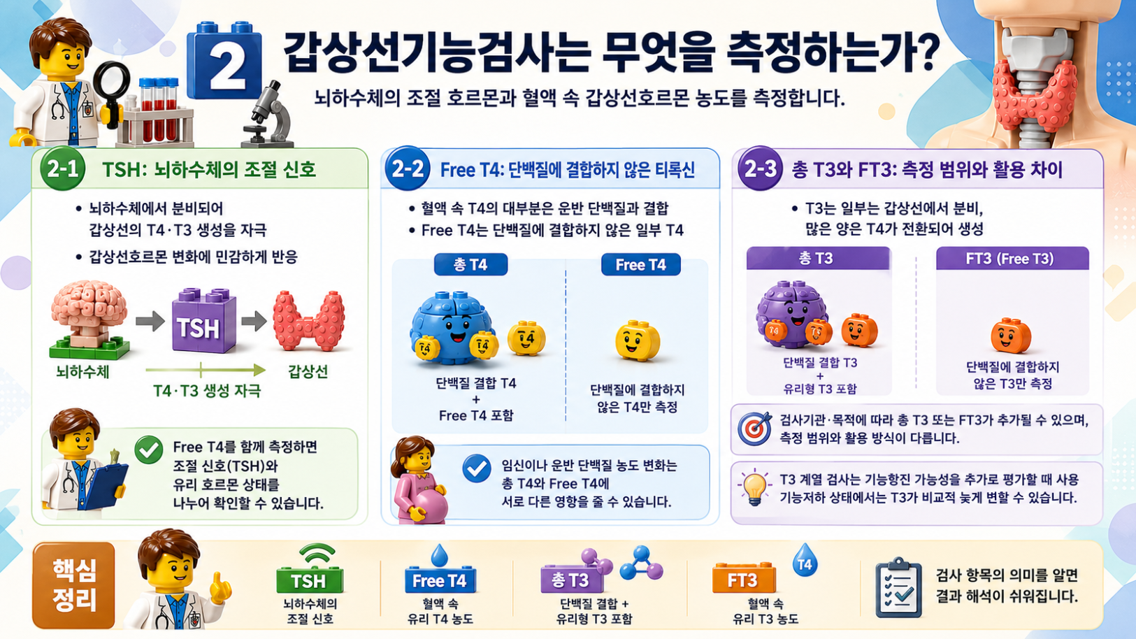 갑상선기능검사의 측정 대상인 TSH&middot;Free T4&middot;총 T4&middot;총 T3&middot;FT3의 차이를 설명하는 메디컬 인포그래픽