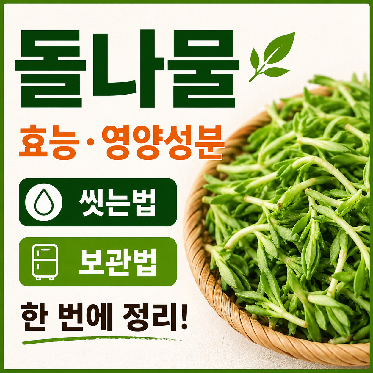 돌나물 효능