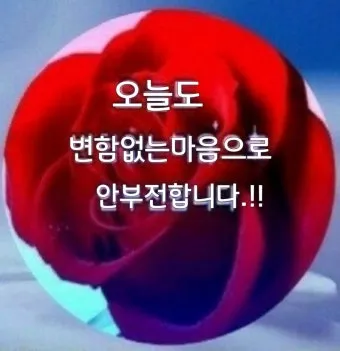 아침 인사 문자 날씨 변화에 맞춘 안부 문장 하루를 여는 표현_8