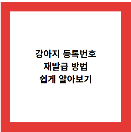강아지 등록번호
재발급 방법
쉽게 알아보기