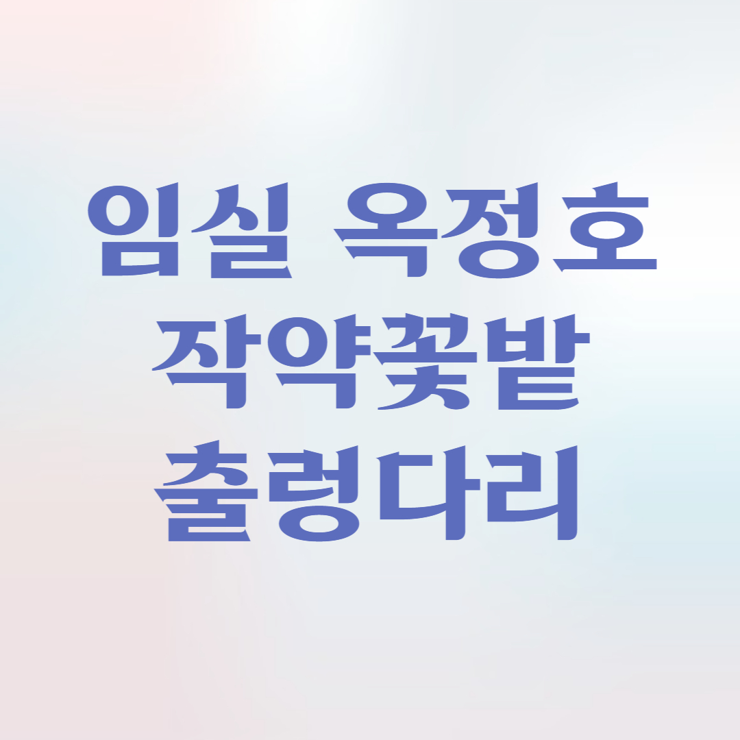 임실 옥정호 작약 꽃밭 및 출렁다리 방문 정보