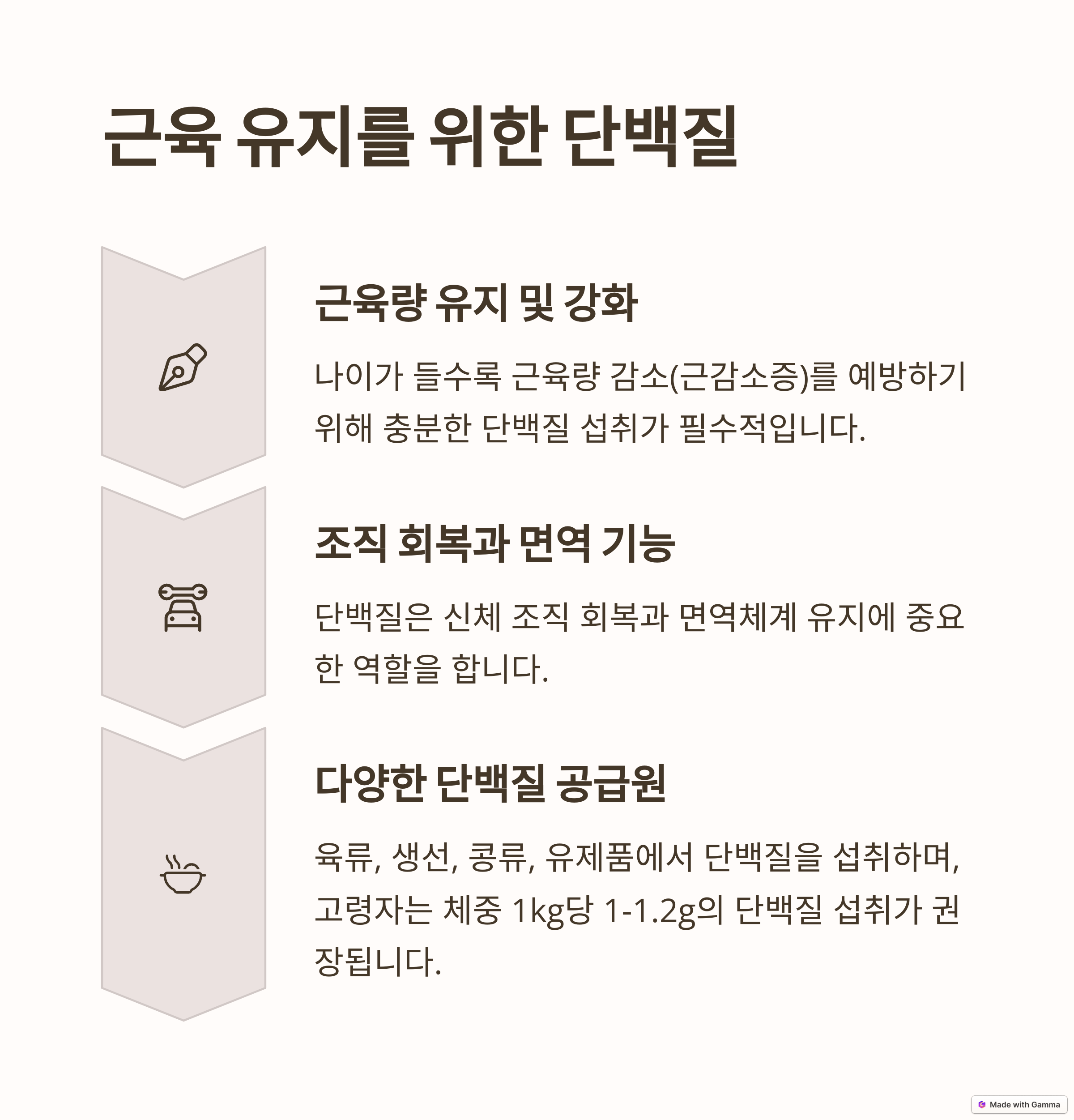 단백질: 근육 유지 및 성장, 건강한 신체 기능 유지