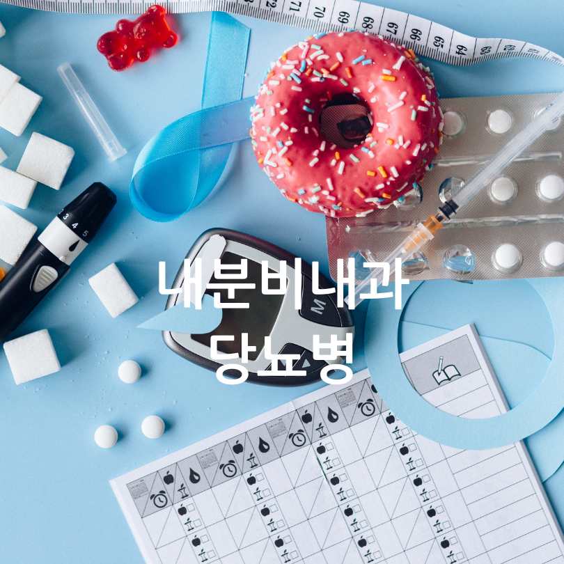 내분비내과 진료과목