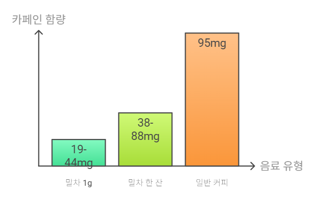 카페인 함량 비교
