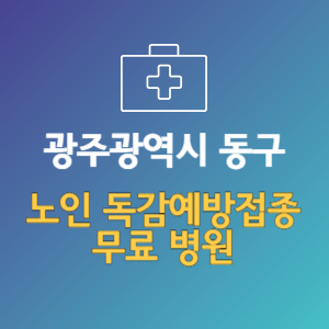 광주 동구 노인 독감예방접종 무료 병원 (인플루엔자 무료 접종 대상 날짜)