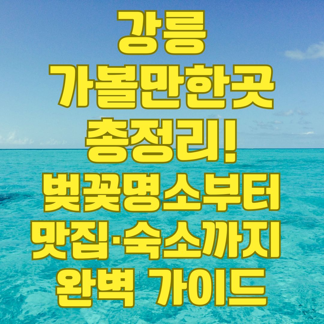 강릉 현지인 맛집 추천