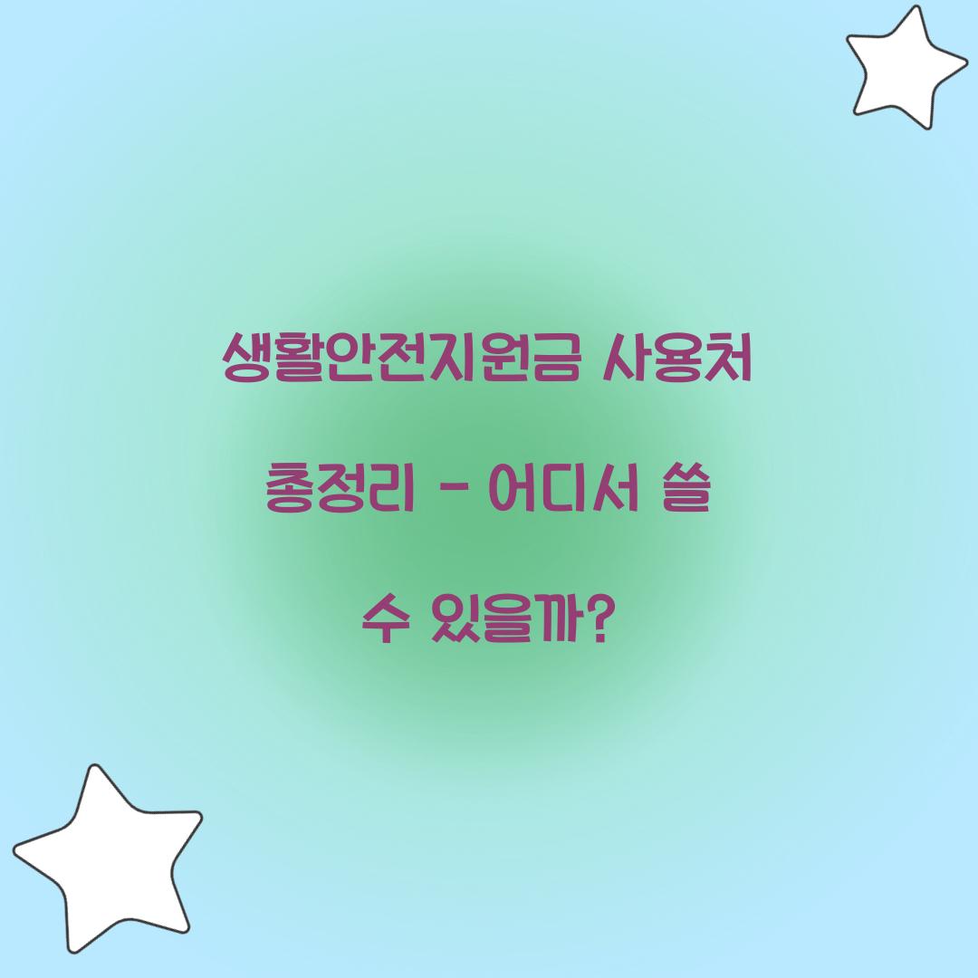 생활안전지원금 사용처