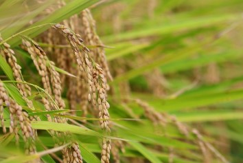 농업e지 농림축산식품부 