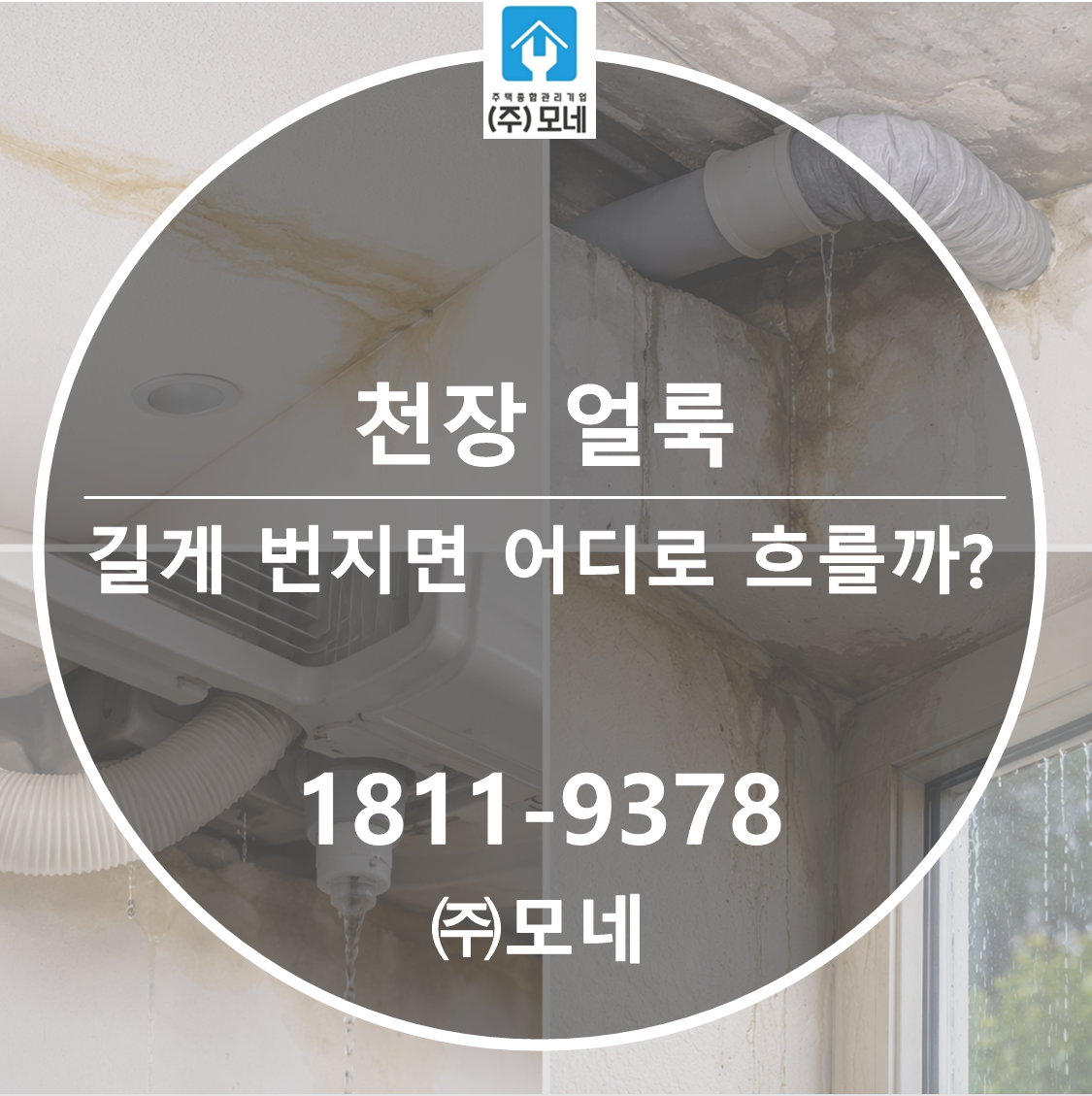 천장 얼룩이 길게 50cm 번지면 물이 어디로 흐른 걸까?