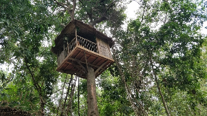 나트랑 여행 추천 바호 폭포