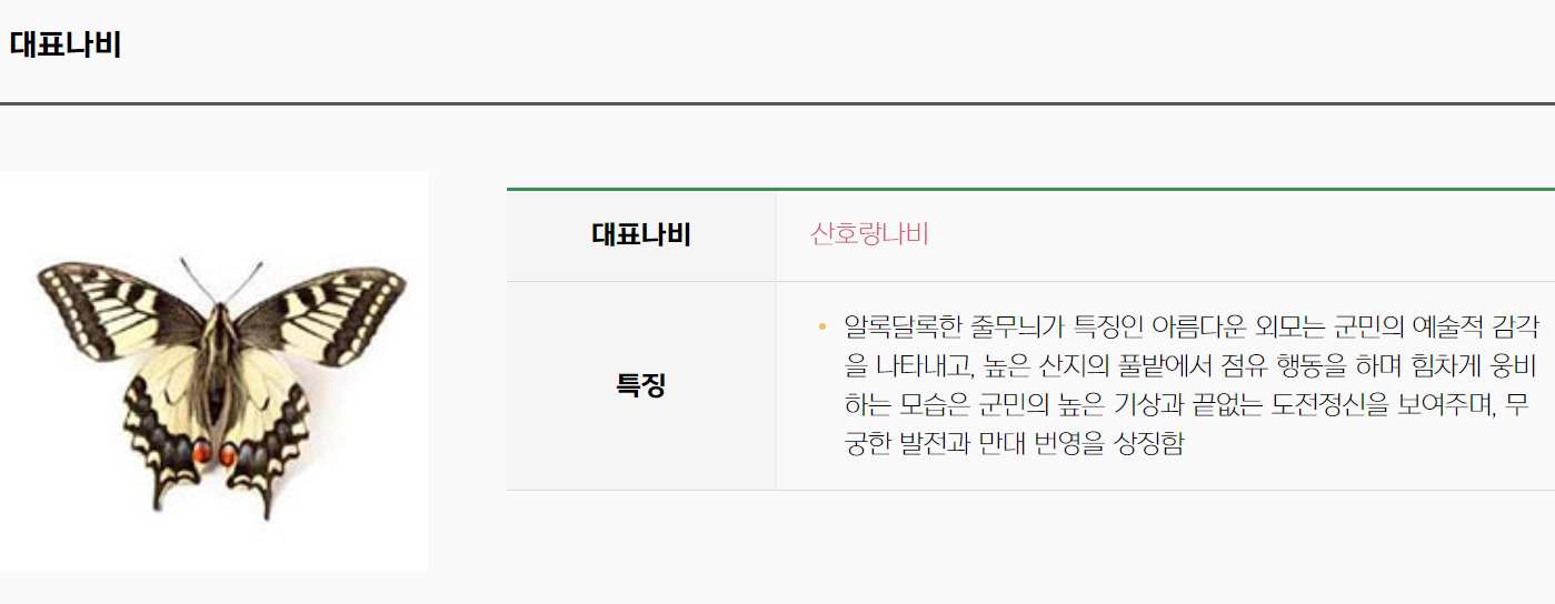 축제 대표 나비