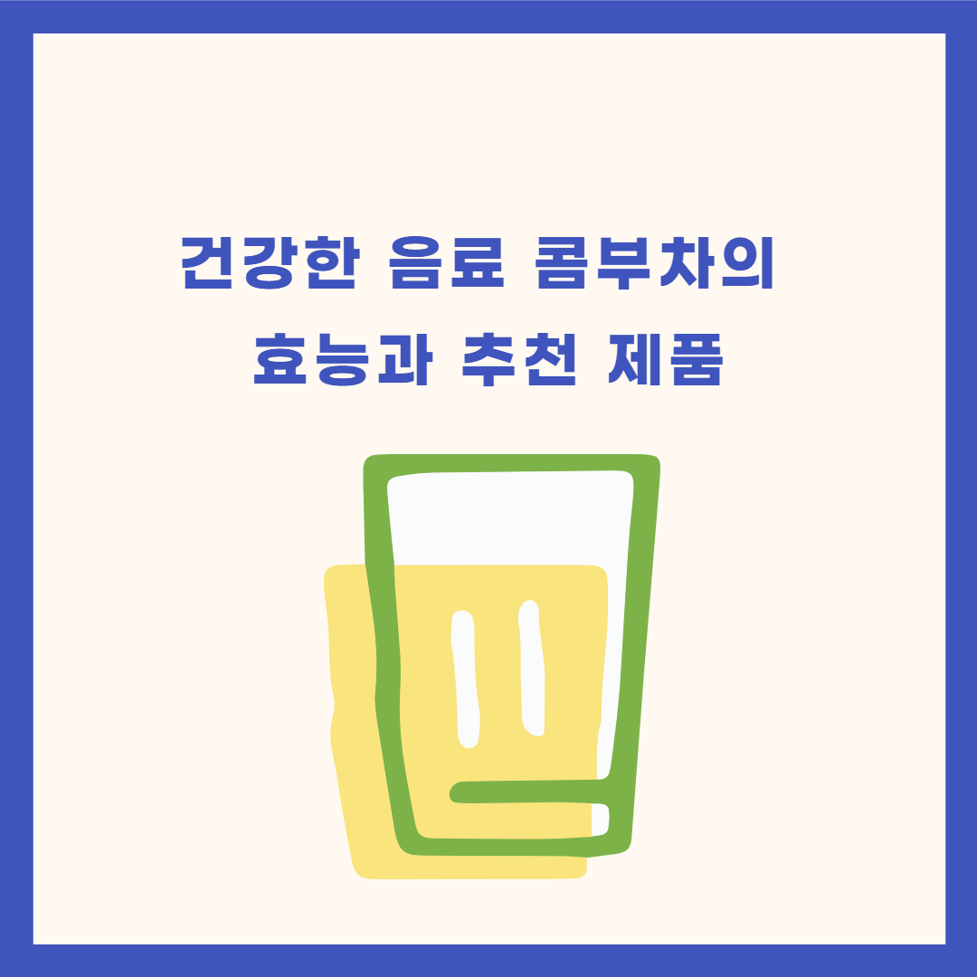 콤부차의 효능과 추천 제품