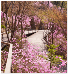 화담숲