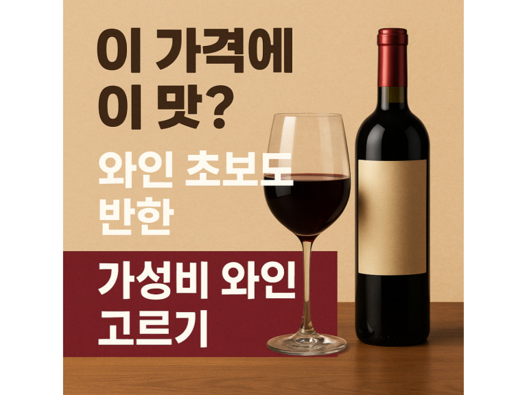 "가성비 와인 고르는 법, 와인 초보도 실패 없는 선택법 총정리!"