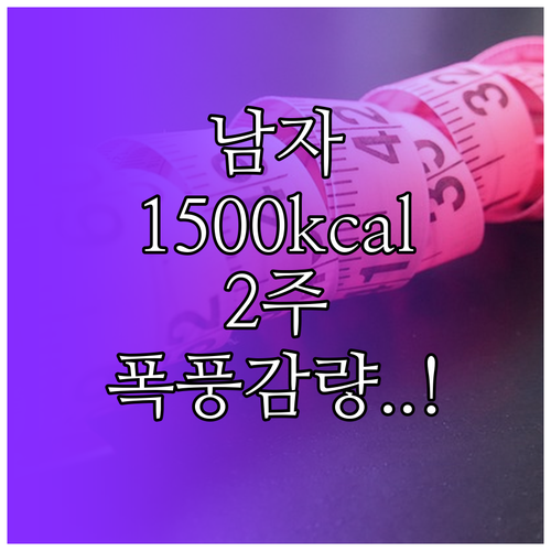 남자 1500칼로리 다이어트 식단 2..