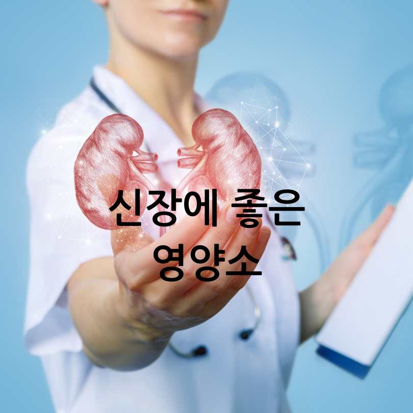 신장에좋은영양제