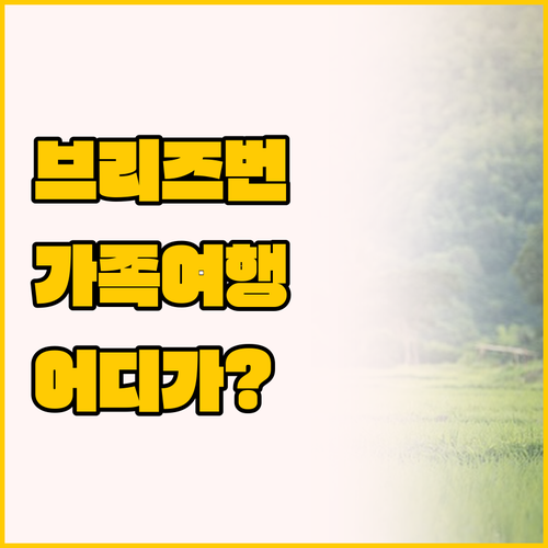브리즈번 스카이타워 아파트먼츠 vs ..