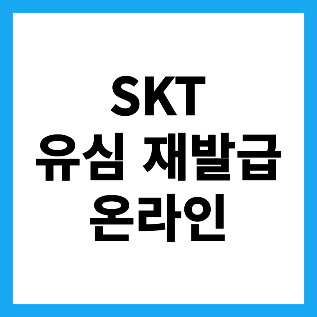SKT 유심 재발급 온라인