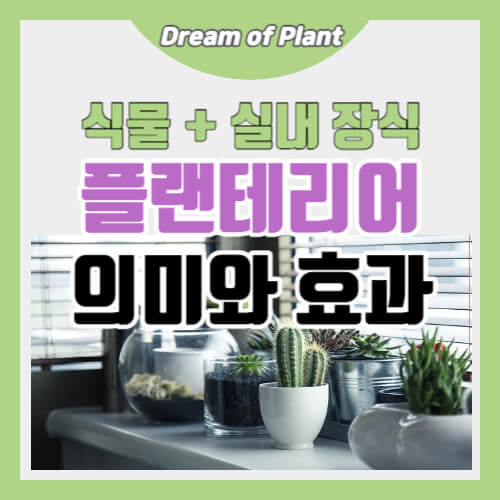 플랜테리어의 뜻과 효과 썸네일 이미지
