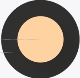 검은색원안-에주황색원하나가-그려져있다
