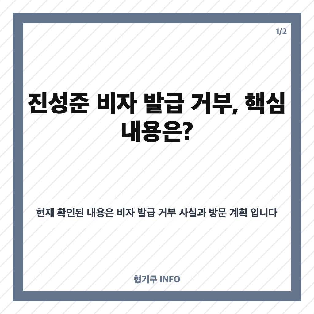 진성준 비자 발급 거부, 미국 관용비자 신청과 방미 일정 차질 정리 카드뉴스 1