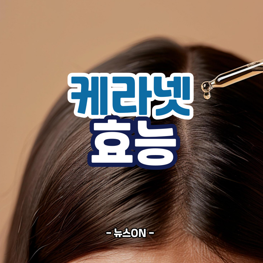 케라넷효능
