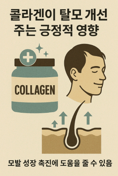 콜라겐이 탈모 개선에 주는 긍정적 영향