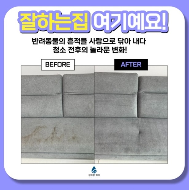 생생정보-청소업체-청아람케어-소파청소-에어컨청소