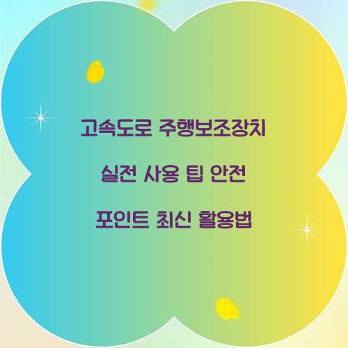 고속도로 주행보조장치