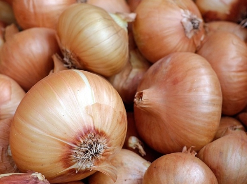당뇨에 좋은 음식인 양파 사진입니다.