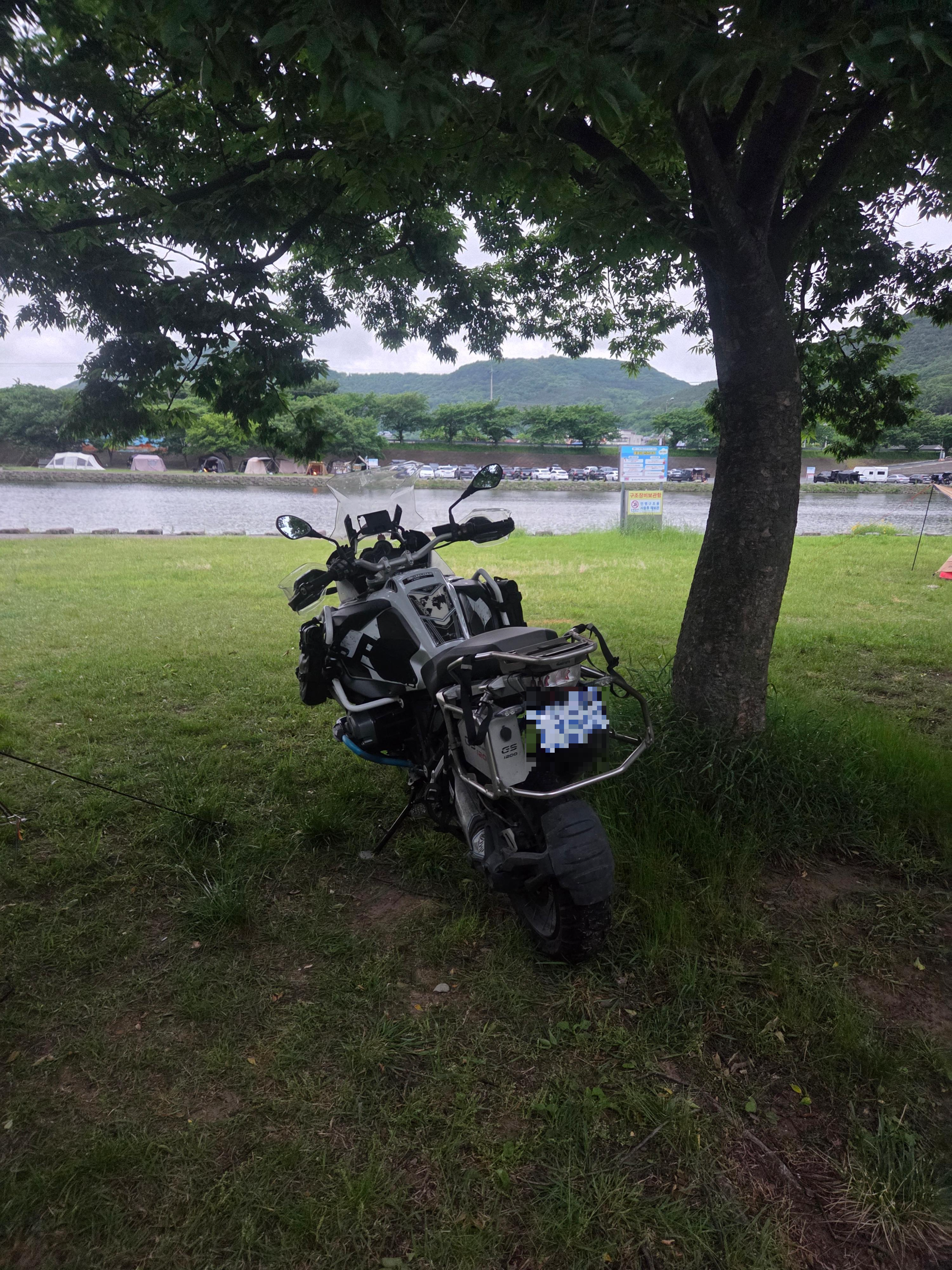 나무 밑에 자리잡은 바이크