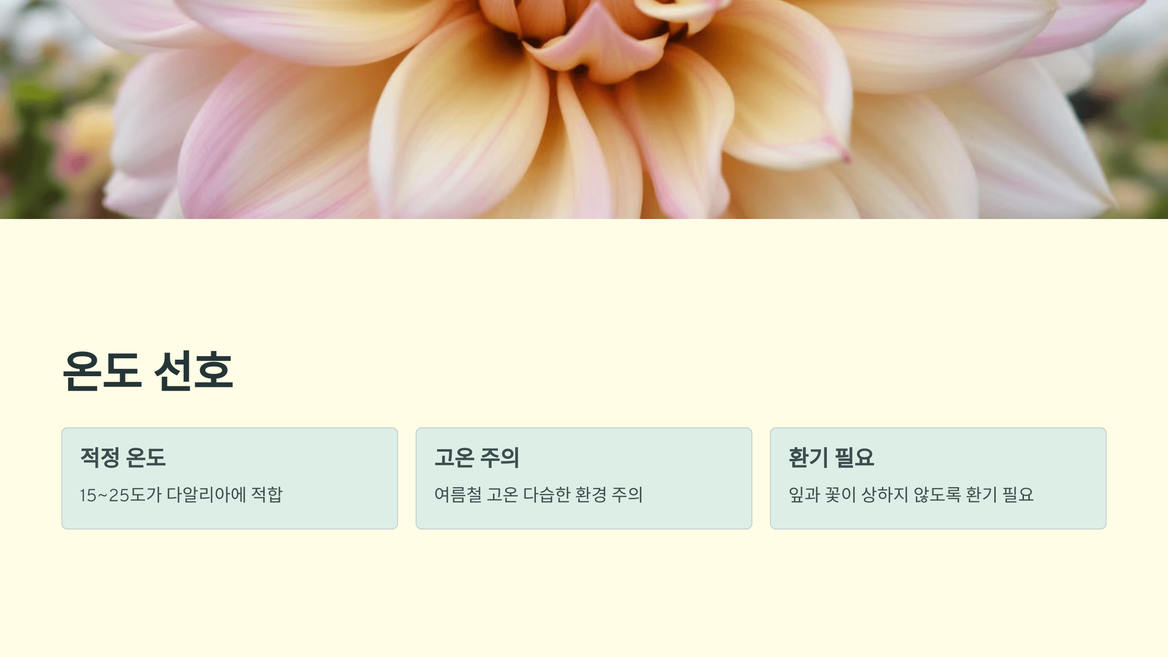 다알리아꽃 사진입니다.