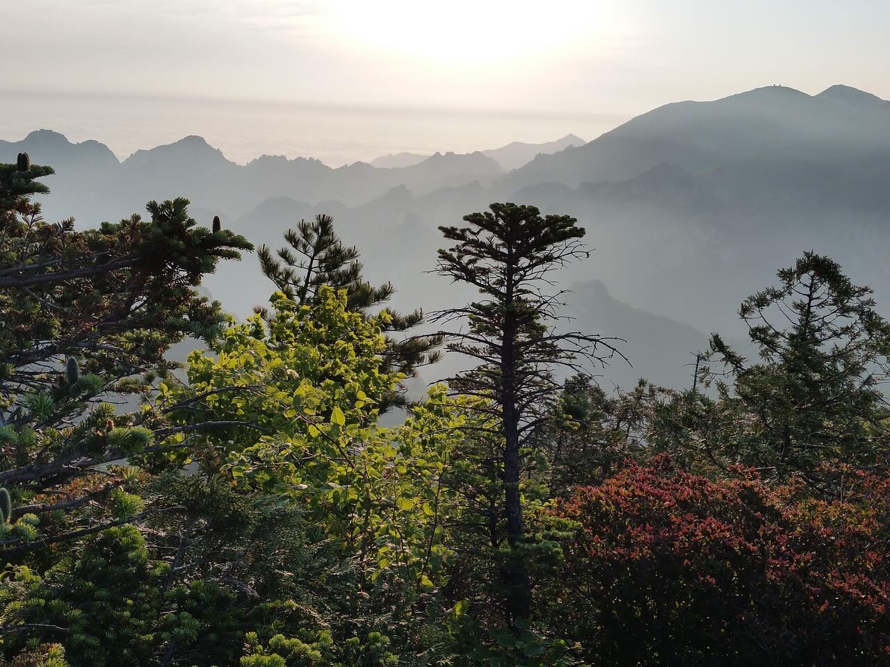설악산 단풍 시기