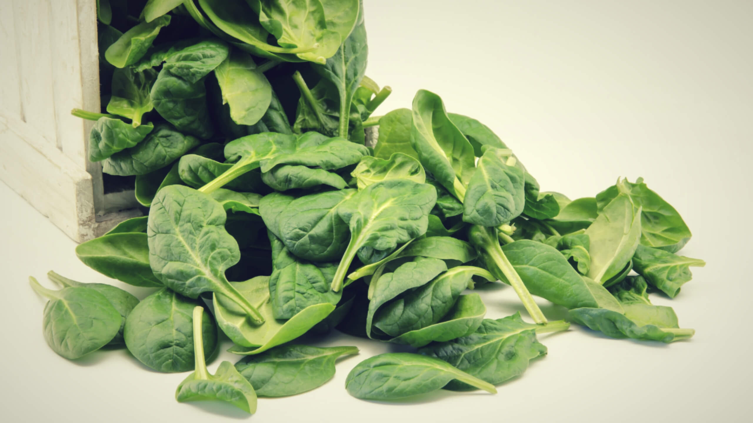 혈압에 좋은 시금치