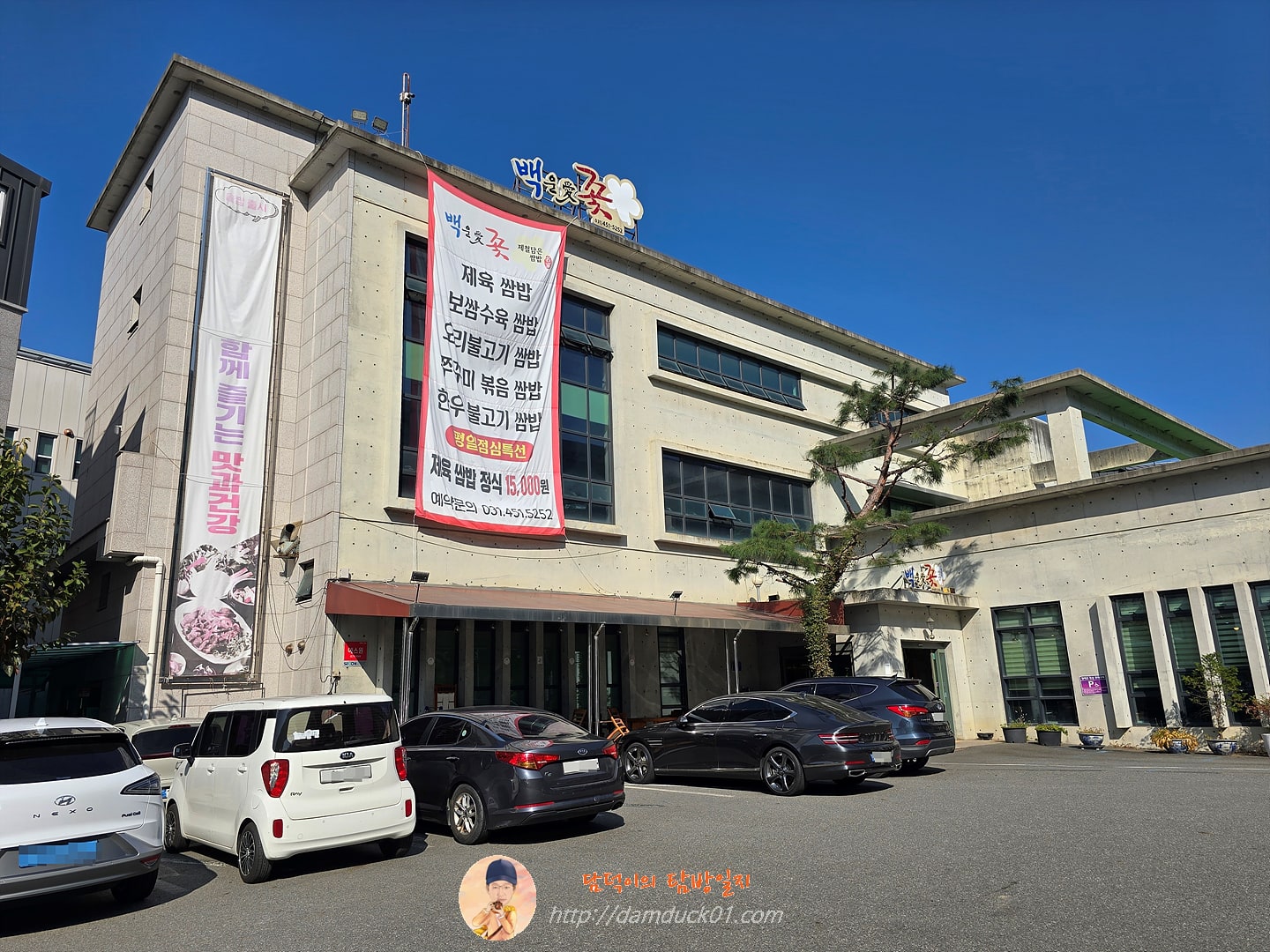 백운애꽃 2025년 11월 5일 사진