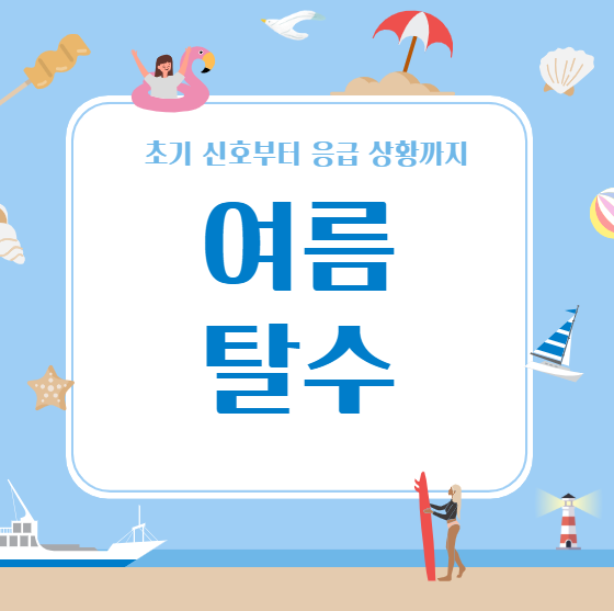 여름 탈수 증상 7가지, 방치하면 위험한 이유와 예방법