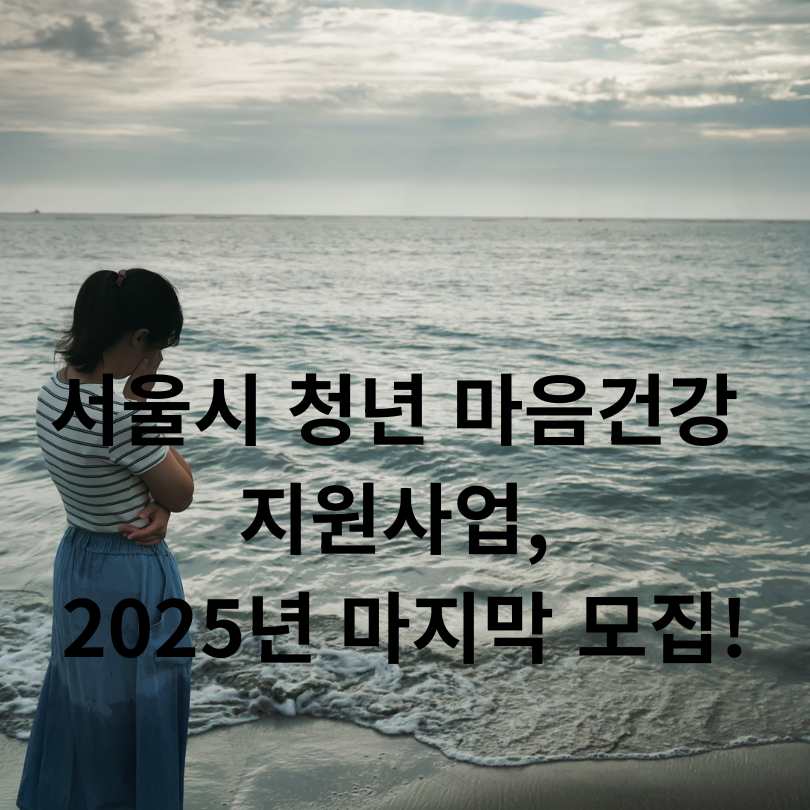 서울시 청년 마음건강 지원사업, 2025년 마지막 모집!