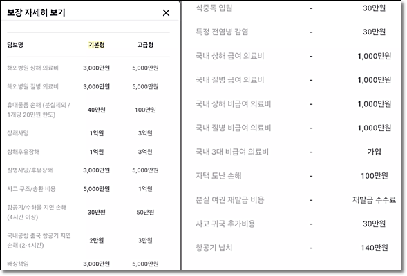 카카오 여행자보험