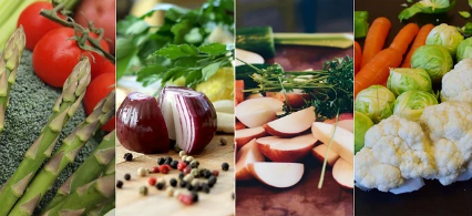 건강한 식단관리