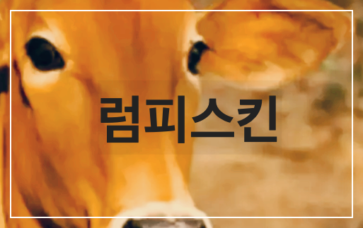 럼피스킨이란? 뜻 기본정보