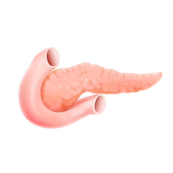 췌장암 초기증상