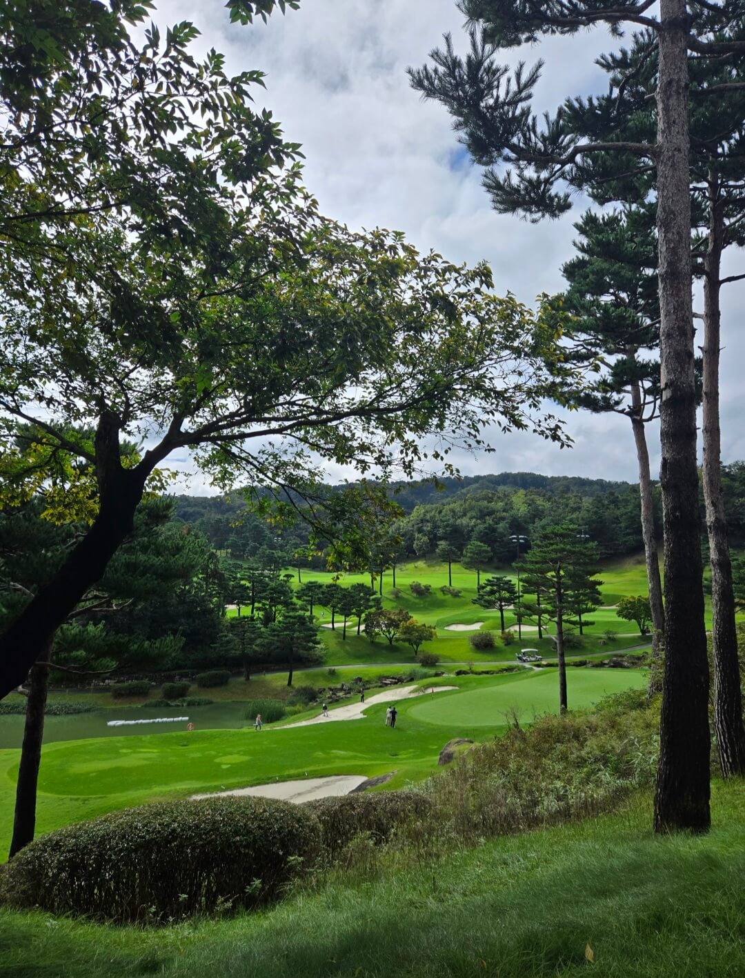 사우스스프링스CC 페어웨이전경