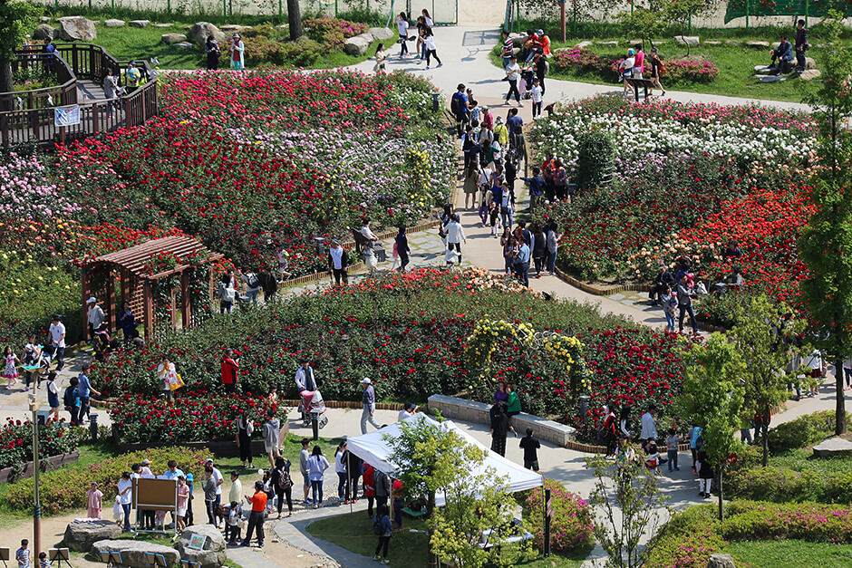 장미명소 부산 화명동 장미원